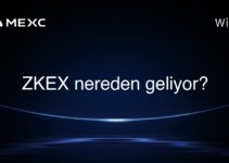 ZKEX nereden geliyor?