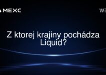 Z ktorej krajiny pochádza Liquid?