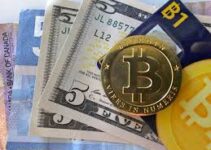 بیتکوین در برابر پول فیات: کدومشون برای آینده مالی شما بهتره؟