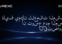 كيف يمكن للعملات المشفرة أن توسع عدم المساواة الاقتصادية؟