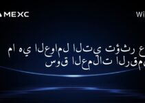 ما هي العوامل التي تؤثر على سوق العملات الرقمية؟