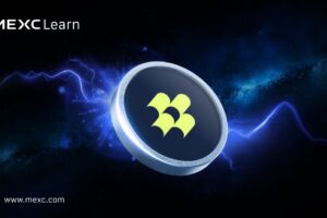 What is Pipe Network (PIPE): A Decentralized Content Distribution and Storage Network on Solana