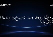 ما الذي يخبرنا به ظهور العملات المشفرة؟