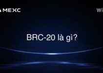 BRC-20 là gì?