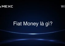 Fiat Money là gì?