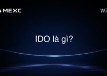 IDO là gì?
