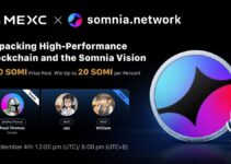 Somnia Network AMA Recap: Building the Future of High-Performance Blockchains
