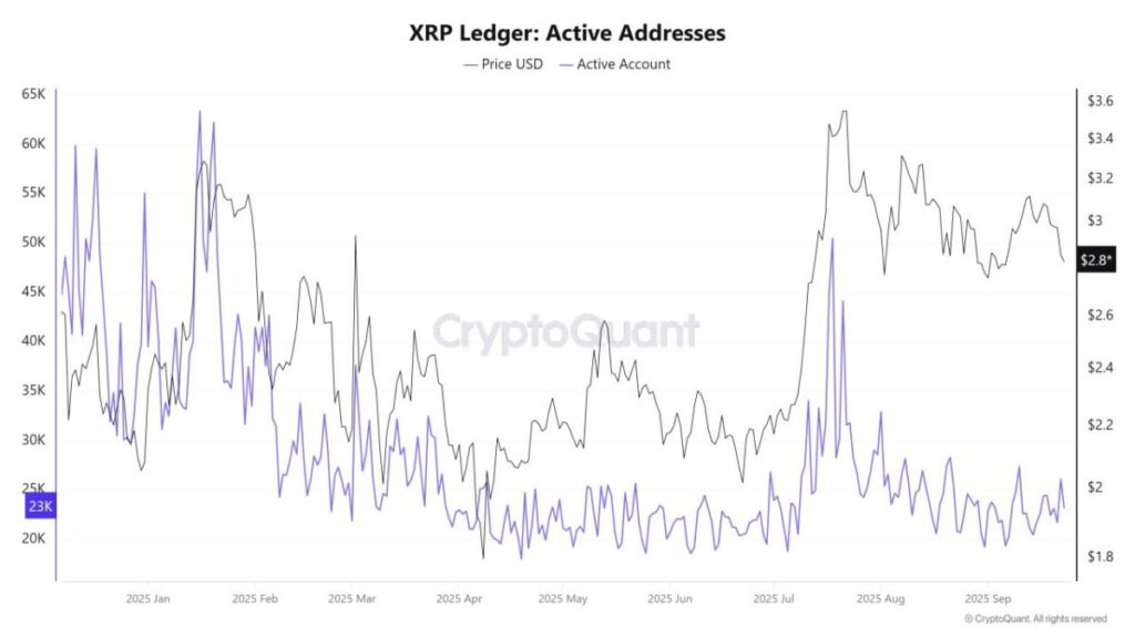 XRP Ledger