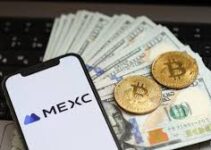 MEXC Earn: Making Your Coins Work for You Even While You Sleep