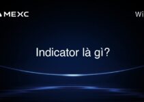 Indicator là gì?