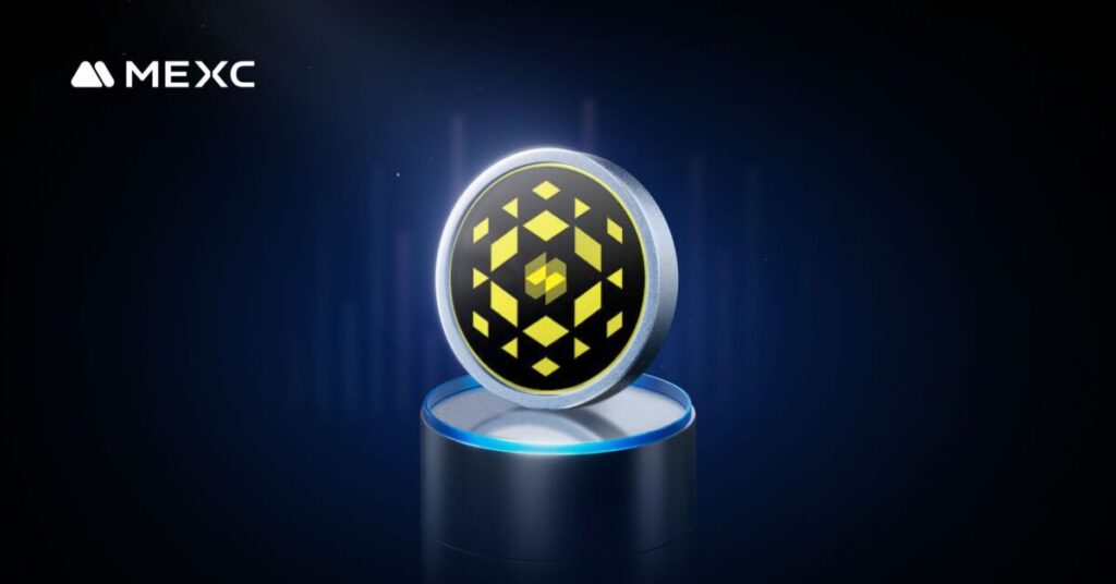 NIZA’s Next Chapter: Launching Its Own Blockchain in 2026