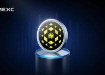NIZA’s Next Chapter: Launching Its Own Blockchain in 2026