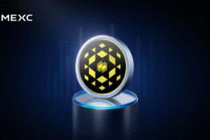 NIZA’s Next Chapter: Launching Its Own Blockchain in 2026