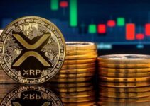 Падение биржевого баланса XRP стимулирует новое ралли