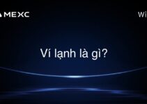 Ví lạnh là gì?