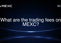 What are the trading fees on MEXC?