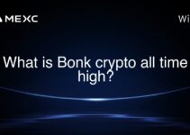 What is Bonk crypto all time high?