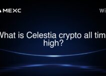 What is Celestia crypto all time high?