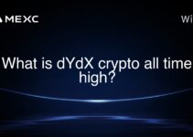 What is dYdX crypto all time high?