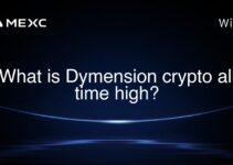 What is Dymension crypto all time high?