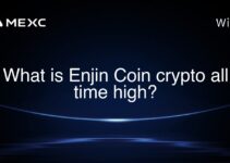 What is Enjin Coin crypto all time high?