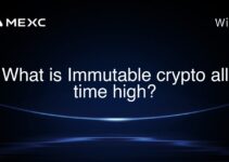What is Immutable crypto all time high?
