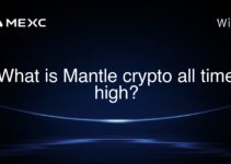 What is Mantle crypto all time high?