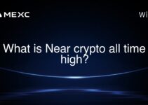 What is Near crypto all time high?