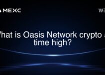 What is Oasis Network crypto all time high?