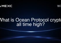 What is Ocean Protocol crypto all time high?