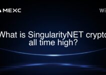 What is SingularityNET crypto all time high?