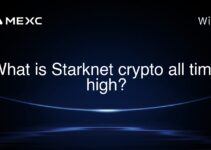 What is Starknet crypto all time high?