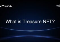 What is Treasure NFT?