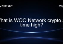 What is WOO Network crypto all time high?