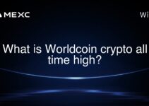 What is Worldcoin crypto all time high?