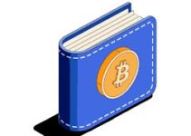 Crypto Wallets Explained: The Real Gateway to Web3