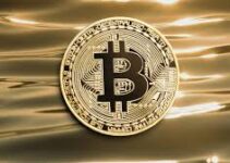 The $2.7 Billion Bitcoin Whale Crash: How 24,000 BTC Triggered $550M in Liquidations