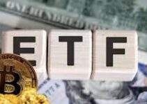 Bitcoin ETFs, Market Confidence & How MEXC Keeps Retail Ahead