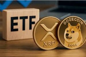 Inntog av Dogecoin- og Ripple-ETF-er i de amerikanske finansmarkedene