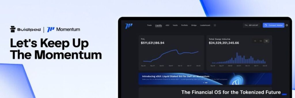 Momentum Finance