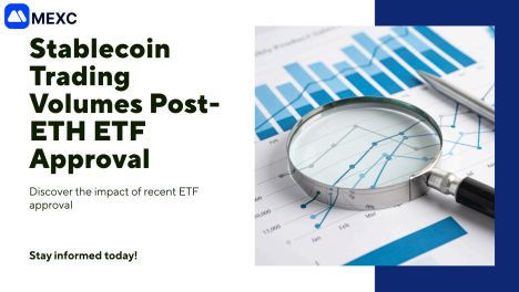 MEXC Stablecoin