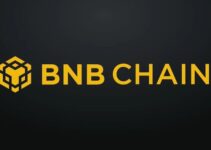 Top Hot & Promising Meme Coins on BNB Chain