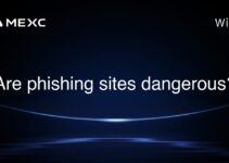 Are phishing sites dangerous?