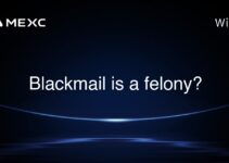 Blackmail is a felony?