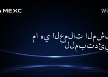 ما هي العملات المشفرة للمبتدئين؟ ما هي العملات المشفرة للمبتدئين؟