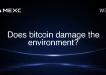 Does bitcoin damage the environment?