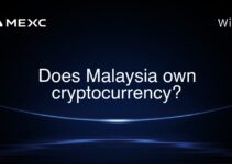Does Malaysia own cryptocurrency?