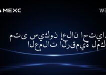متى سيكون إعلان احتياطي العملات الرقمية لمكس؟