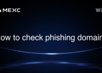 How to check phishing domain?