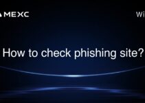 How to check phishing site?